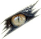 <a href="/vertriebspartner?tx_ttaddress_listview%5Baction%5D=show&amp;tx_ttaddress_listview%5Baddress%5D=33&amp;tx_ttaddress_listview%5Bcontroller%5D=Address&amp;cHash=cd97932f0c1e70a677d0c415a823d031" target="_self">P.H. Ara</a>
